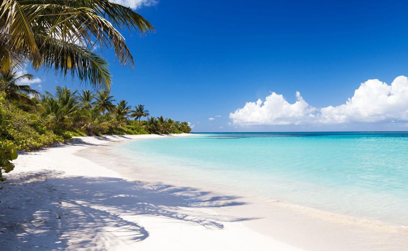 Photo de Plage Flamenco avec sable lumineux de surface