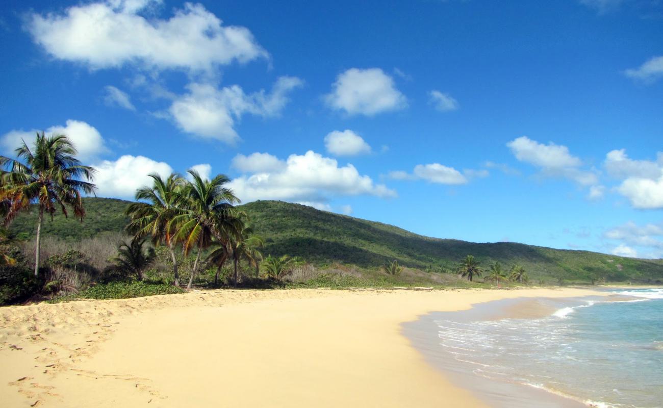 Photo de Playa Brava avec sable beige de surface