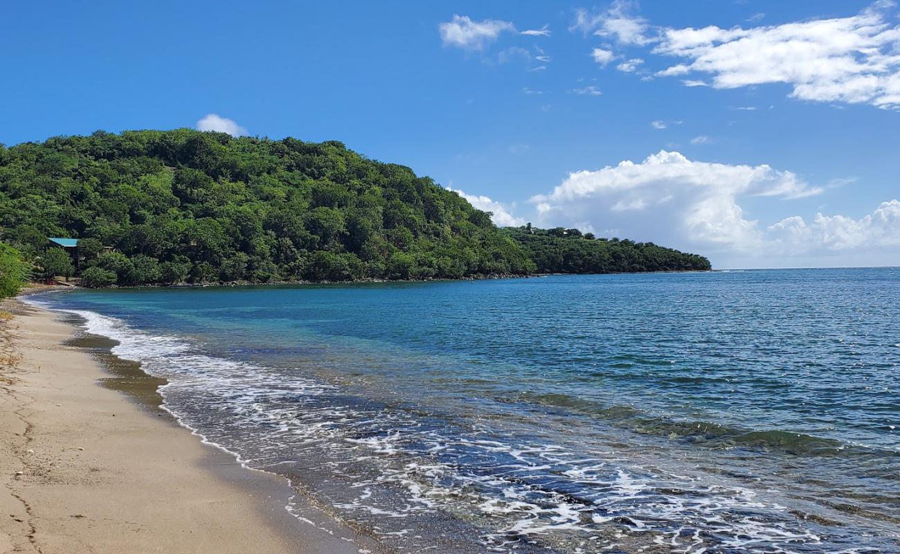 Photo de Playa Mosquito avec sable brillant et rochers de surface