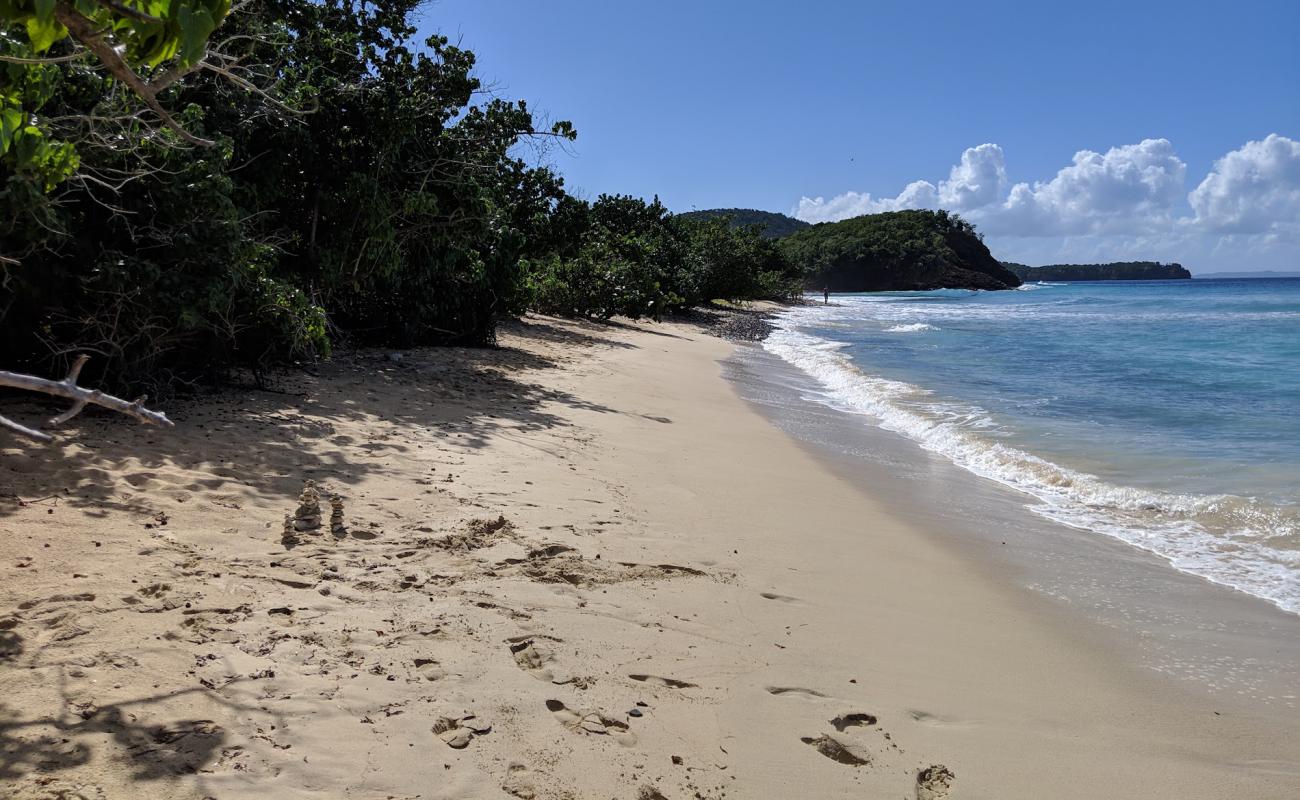 Photo de Playa Carlos Rosario avec sable lumineux de surface