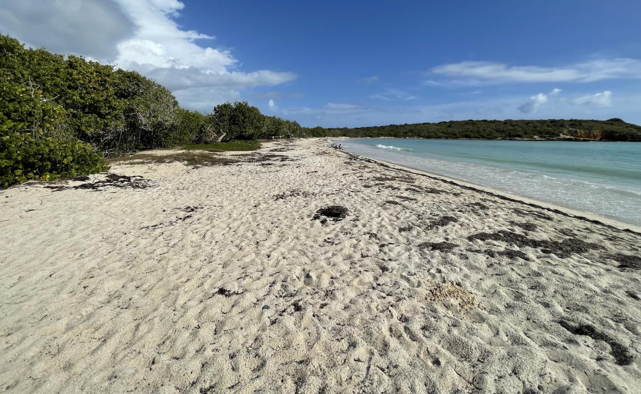 Photo de Plage de Sucia avec sable lumineux de surface