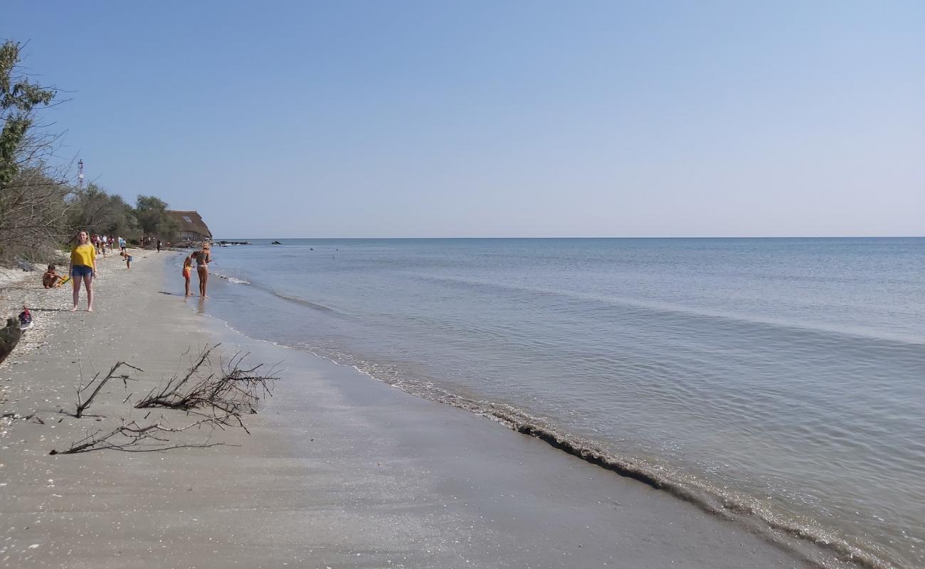 Photo de Perisor beach avec sable beige de surface