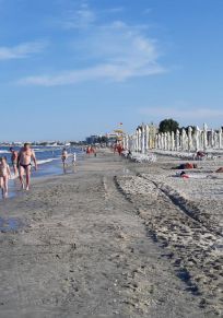 Mamaia