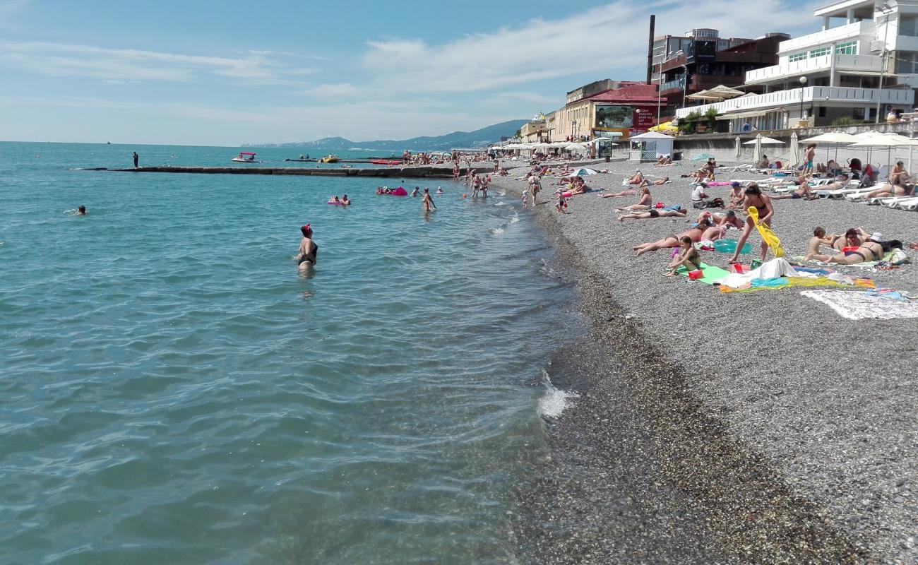 Photo de Seagull beach avec caillou gris de surface