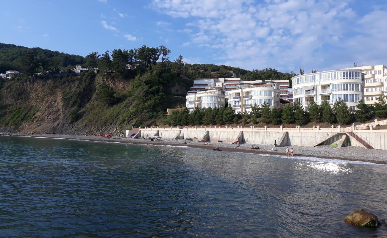 Photo de Pine Coast beach avec caillou gris de surface