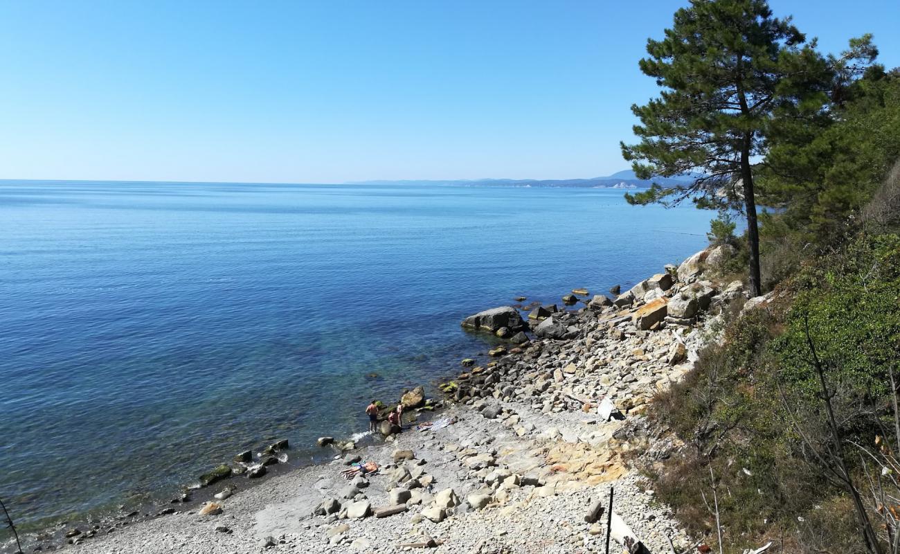 Photo de Agrias reserve beach avec caillou gris de surface