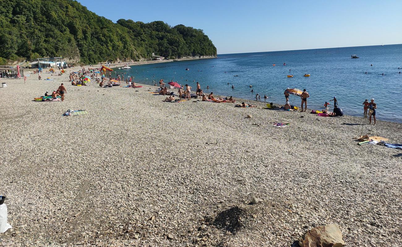 Photo de Primorskaya beach avec caillou gris de surface