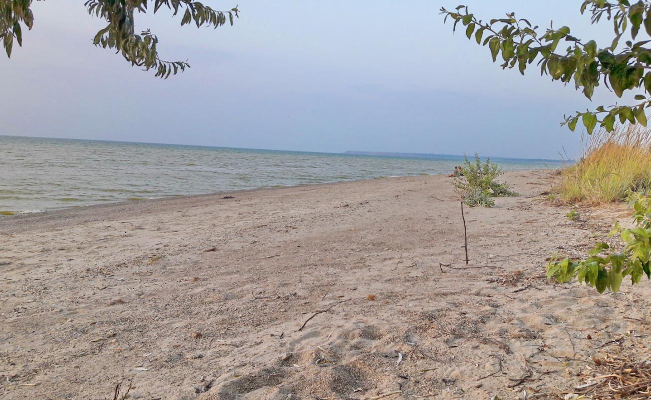 Photo de Kosa Dolgen'kaya avec sable beige de surface