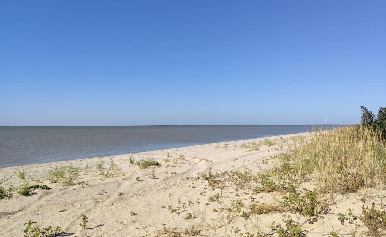 Photo de Kosa Beglitskaya avec sable lumineux de surface