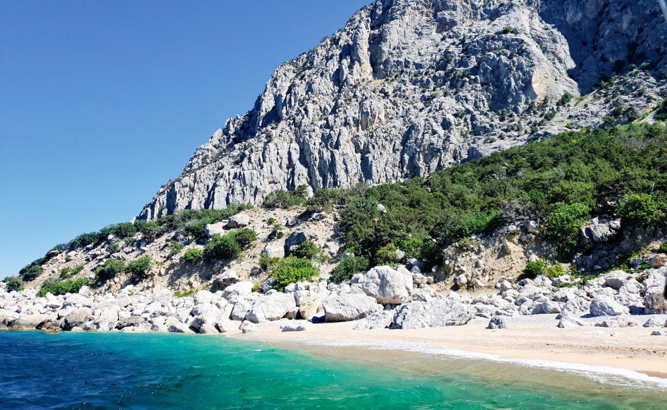 Photo de Lost World beach avec caillou fin gris de surface