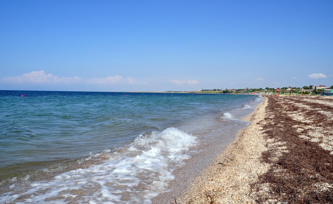 Photo de Plyazh Steregushcheye avec sable lumineux de surface