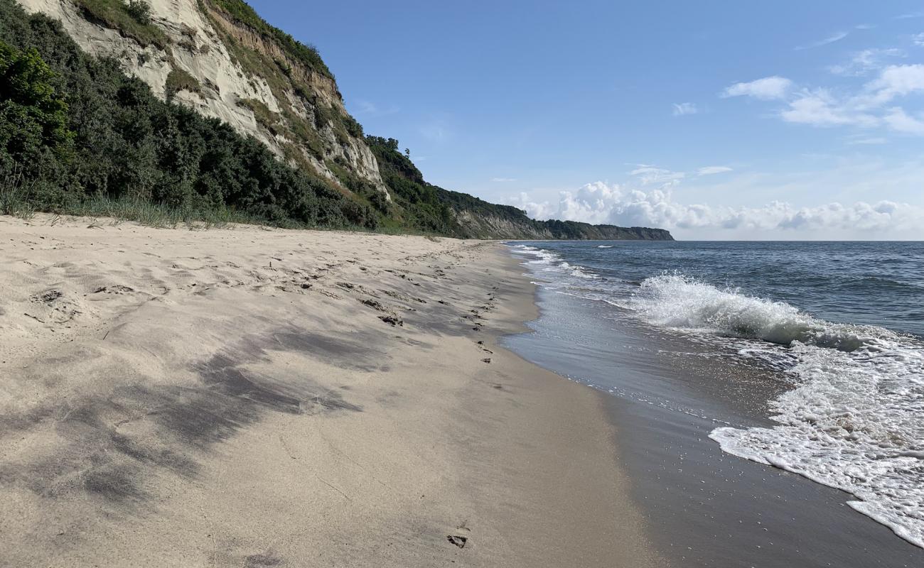 Photo de Donskoe Beach avec sable beige de surface