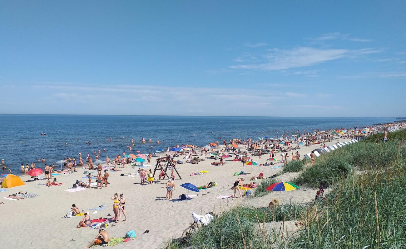 Photo de Zelenogradska Beach avec sable lumineux de surface