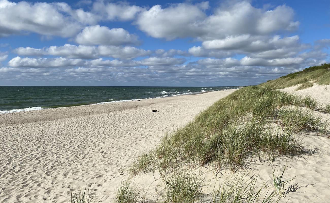 Photo de Rosa beach avec sable beige de surface
