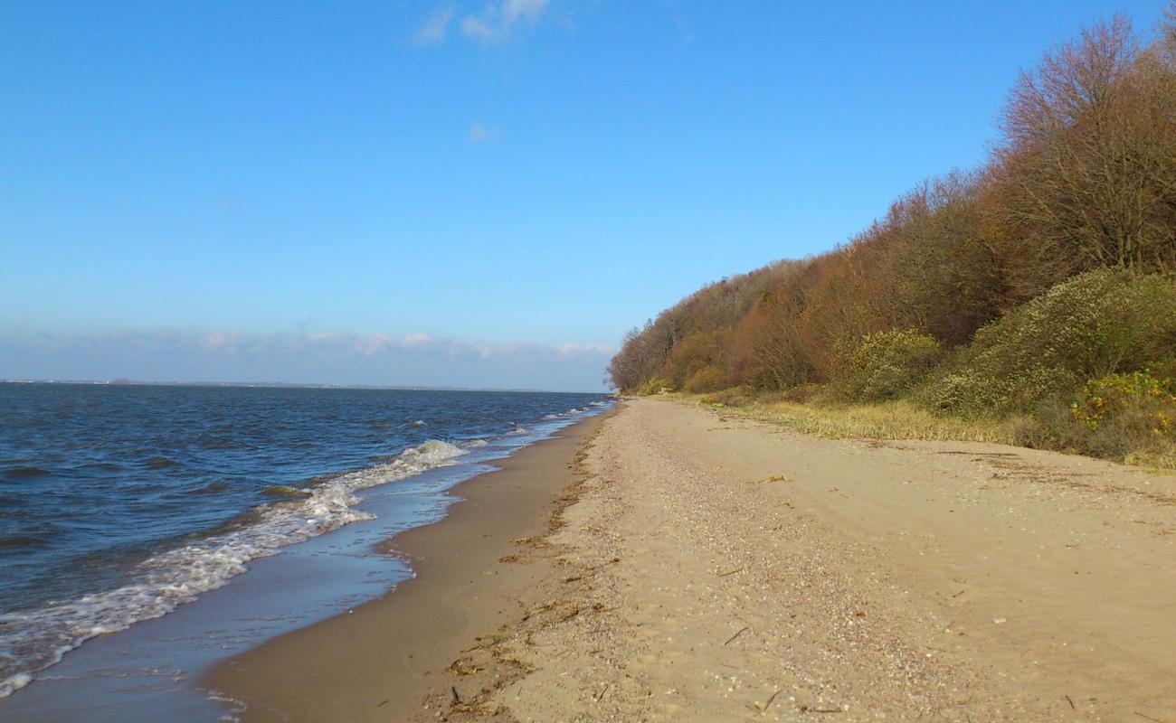 Photo de Muzhskoy Skit avec sable beige & galets de surface