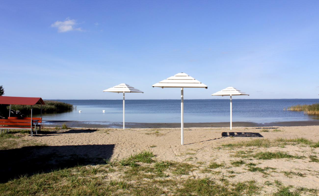 Photo de Beach Mamonovo avec sable beige de surface