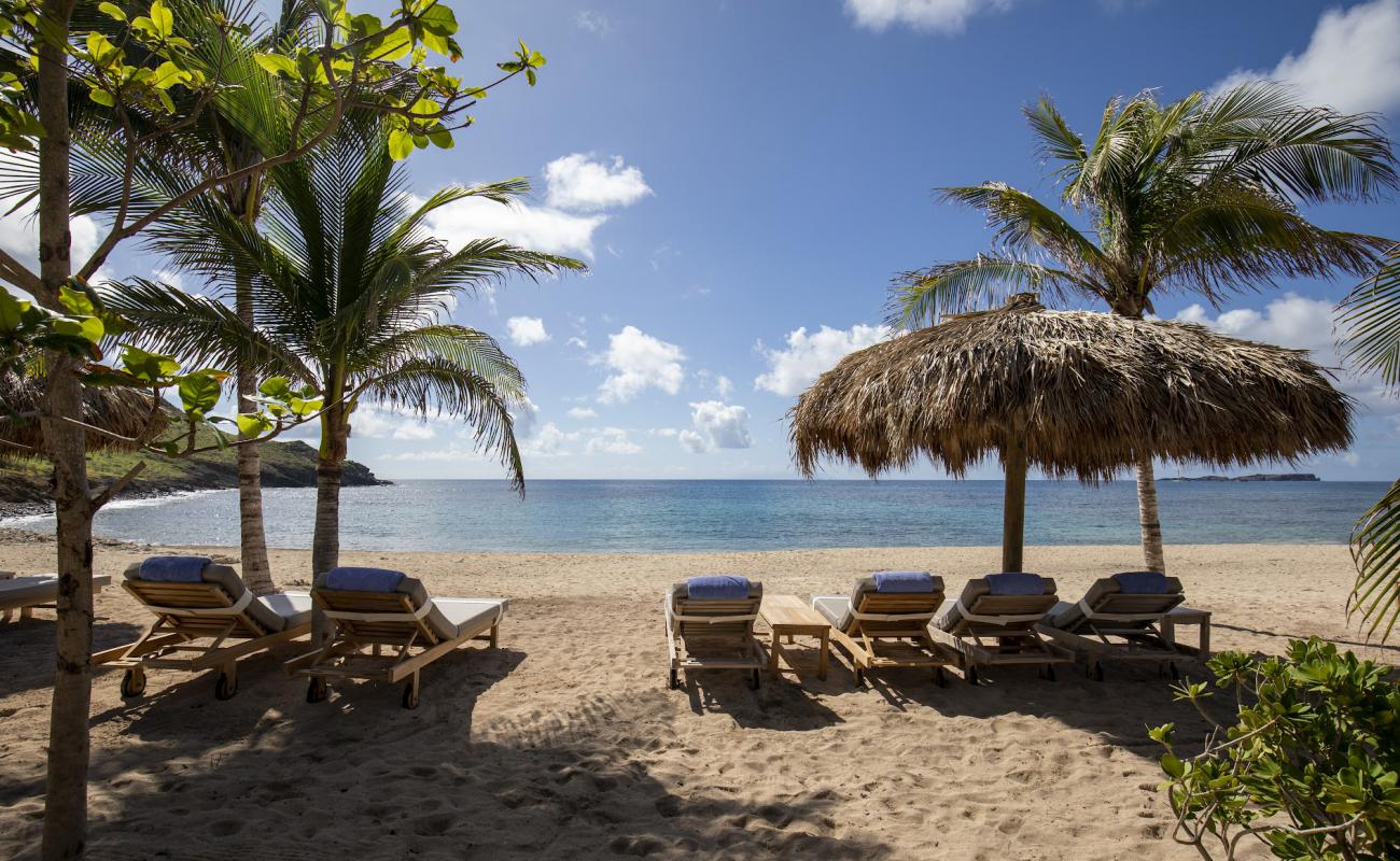 Photo de Toiny Bay beach avec sable lumineux de surface