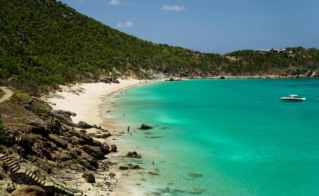 Photo de Colombier beach avec sable beige fin de surface