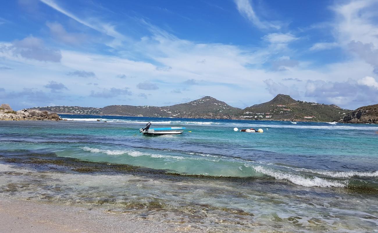 Photo de Anse des Cayes avec sable beige & pierres de surface