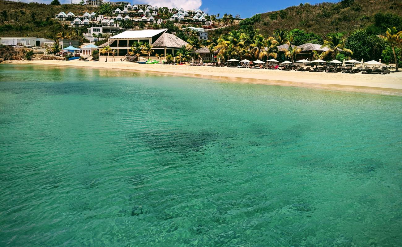 Photo de Crocus Bay beach avec sable beige fin de surface