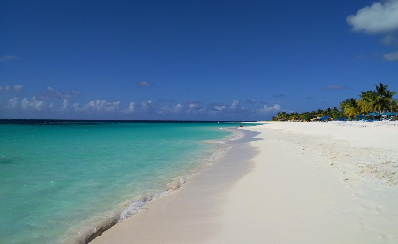 Photo de Plage de Shoal Bay avec sable fin blanc de surface