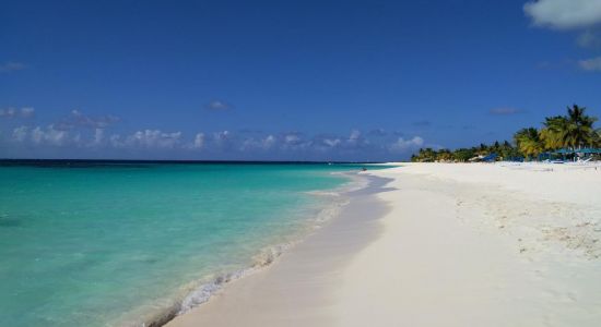 Plage de Shoal Bay