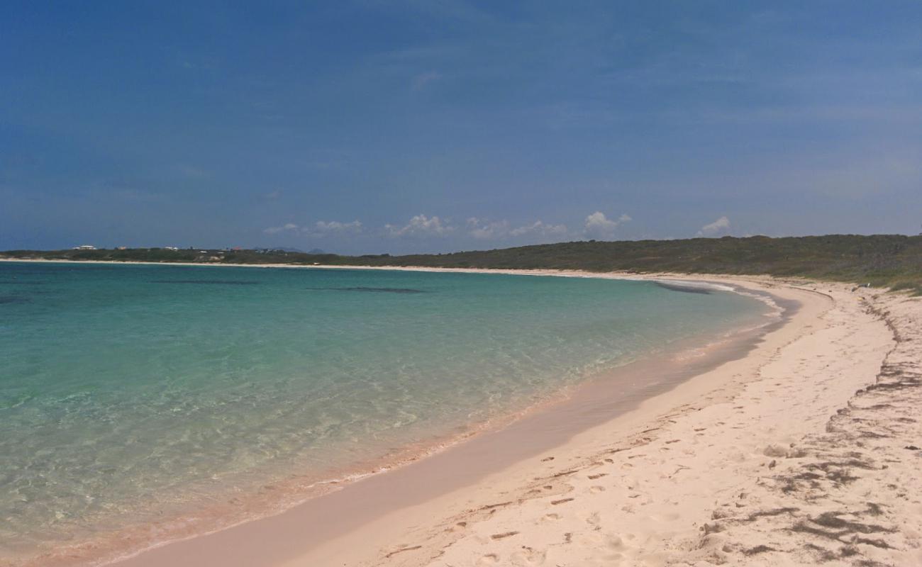 Photo de Palm Grove avec sable beige de surface
