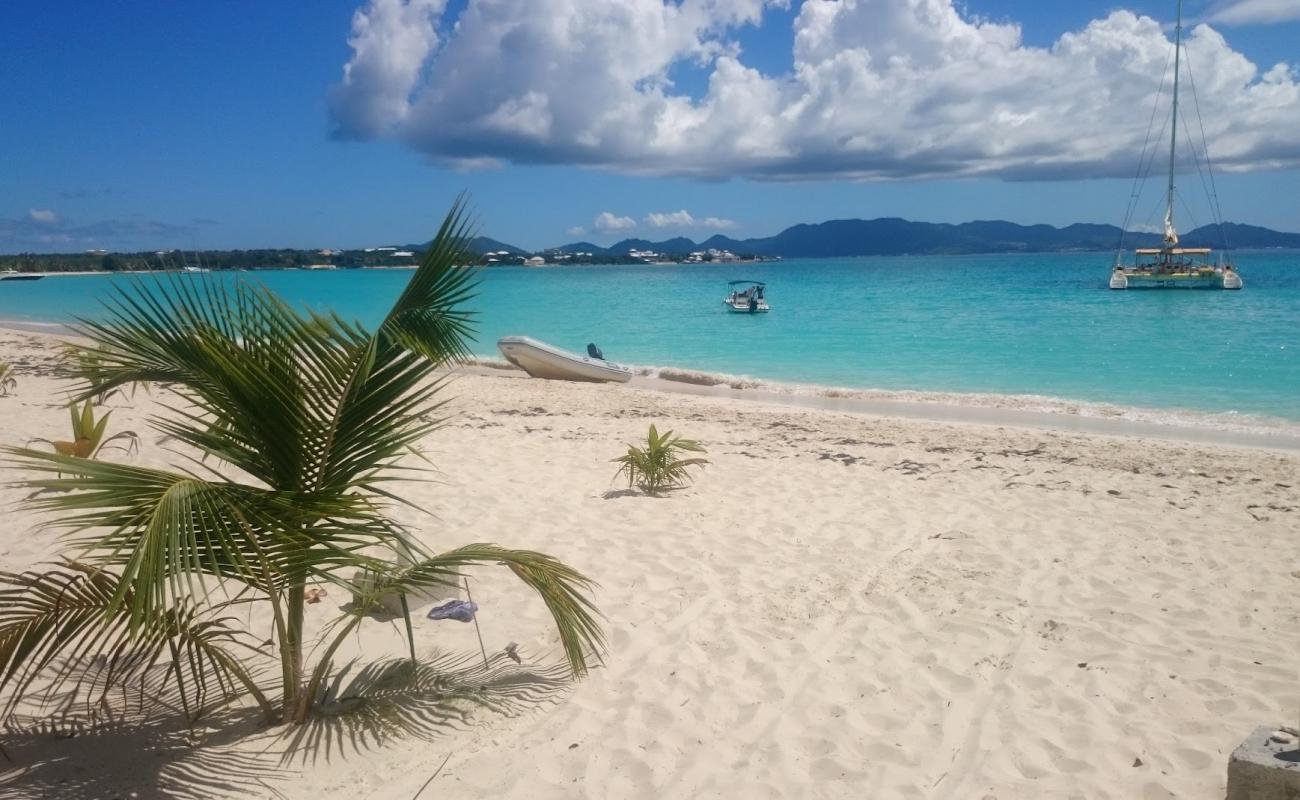 Photo de Zenaida beach avec sable beige de surface
