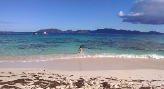 Blowing point beach