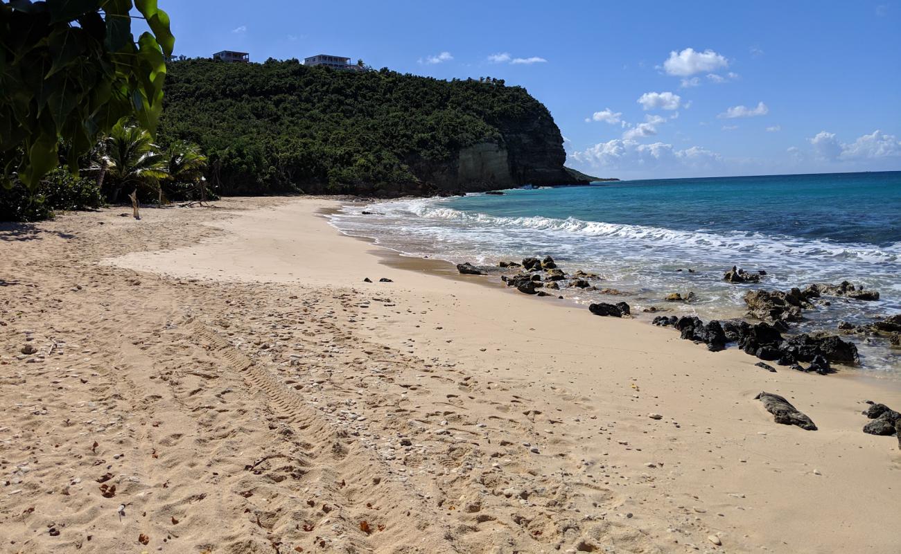 Photo de Katouche Bay beach avec sable beige de surface