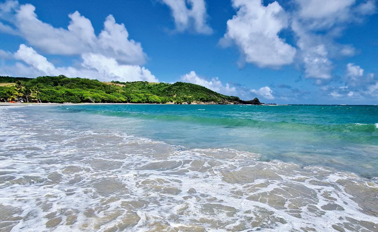 Photo de Plantation beach avec sable lumineux de surface