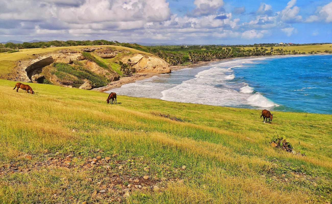 Photo de Honeymoon beach avec sable lumineux de surface