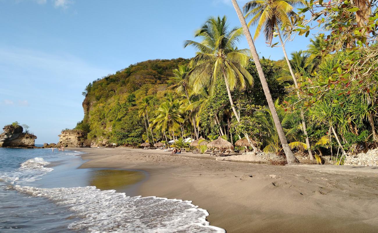 Photo de Anse Mamin beach avec sable coquillier lumineux de surface