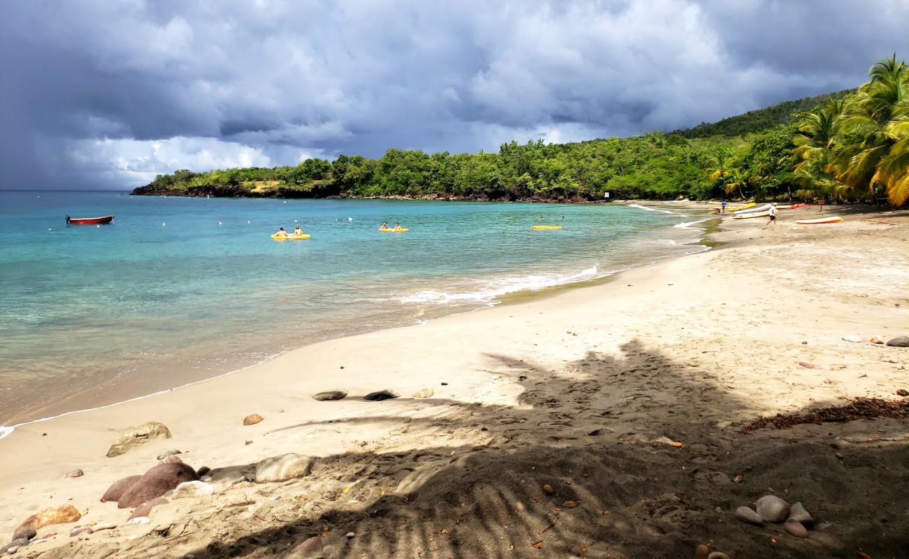 Photo de Anse Cochon beach avec sable coquillier lumineux de surface