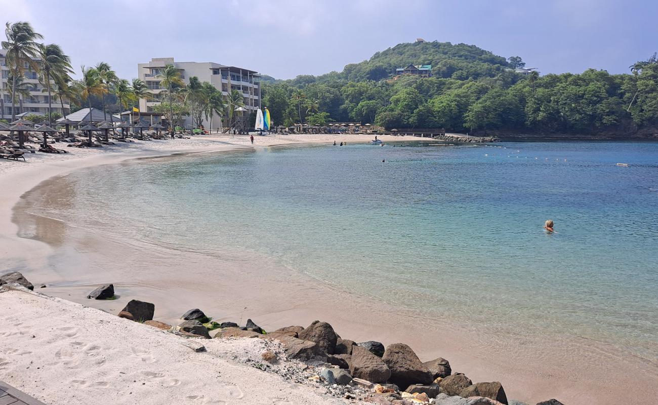 Photo de Saint Lucia beach avec sable fin blanc de surface