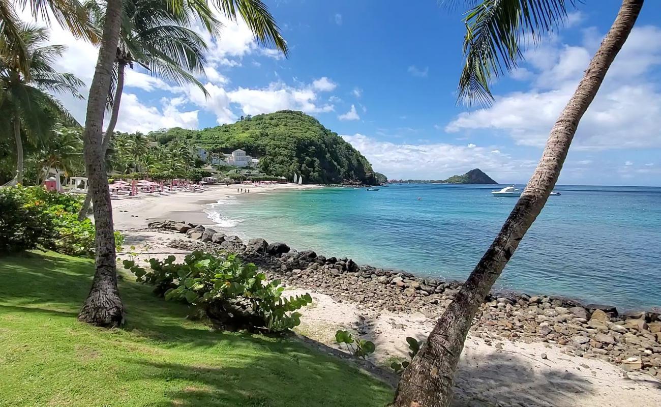Photo de BodyHoliday hotel beach avec sable fin blanc de surface