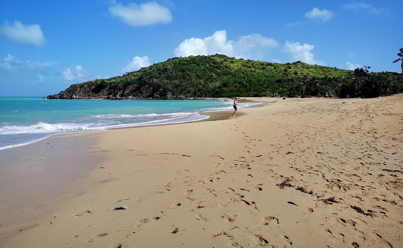 Photo de Plage de Happy Bay avec sable lumineux de surface