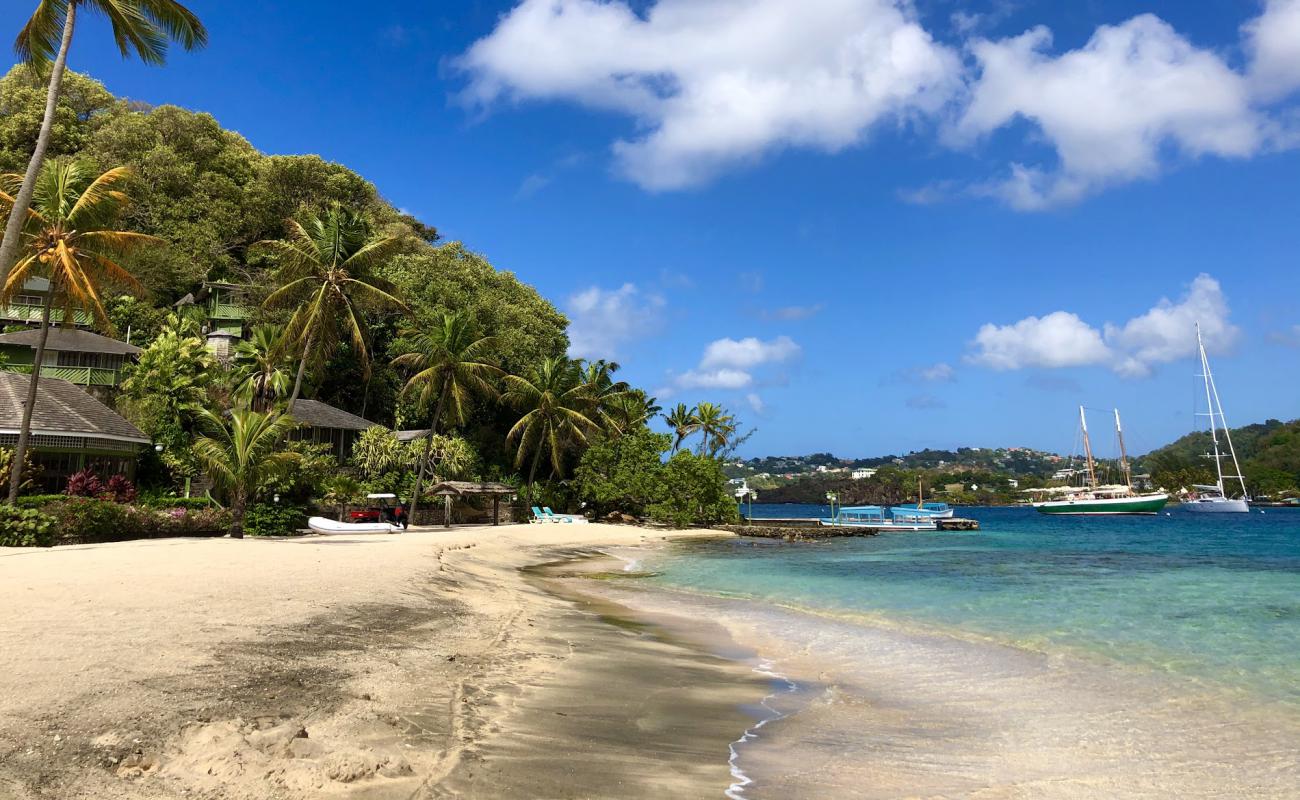 Photo de Young Island beach avec sable fin et lumineux de surface