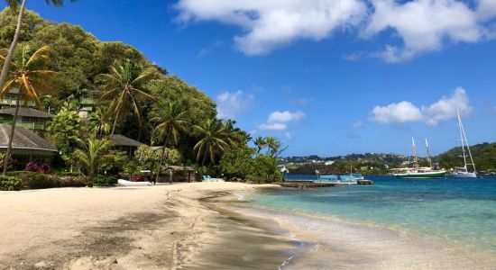 Young Island beach