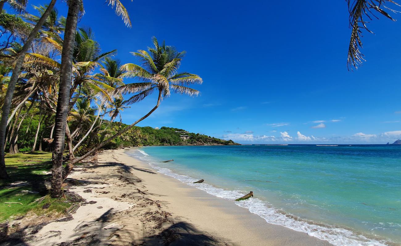 Photo de Sugar Reef beach avec sable lumineux de surface