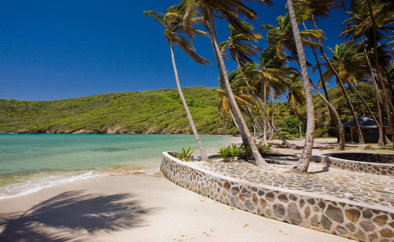 Photo de Firefly beach avec sable fin et lumineux de surface