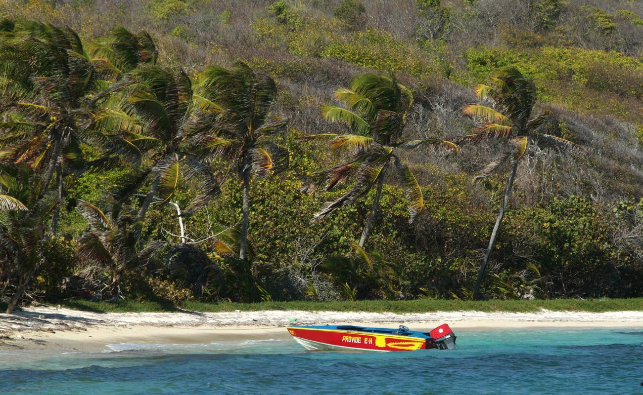 Photo de Quatre Isle beach avec sable beige fin de surface