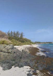 Île Moustique