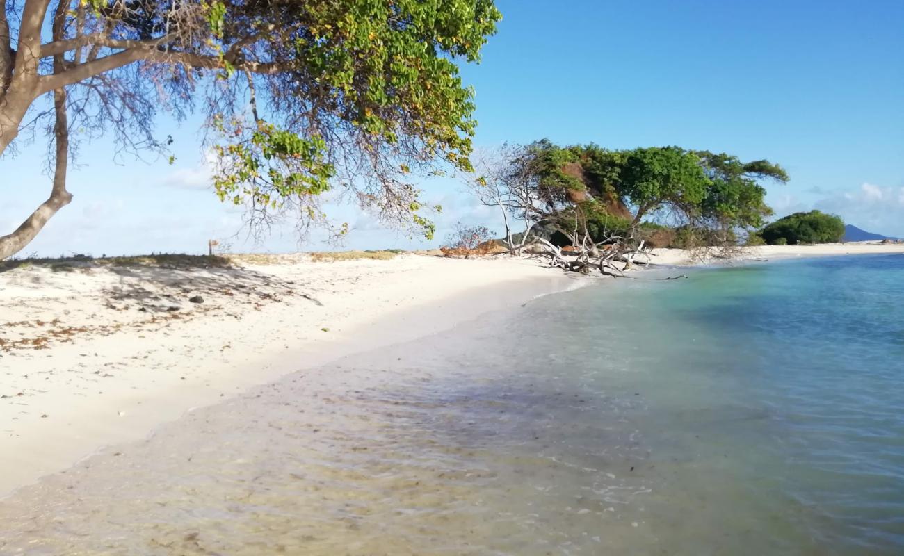 Photo de Cambel path beach avec sable beige de surface