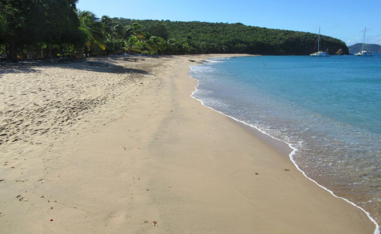 Photo de Saline beach avec sable lumineux de surface