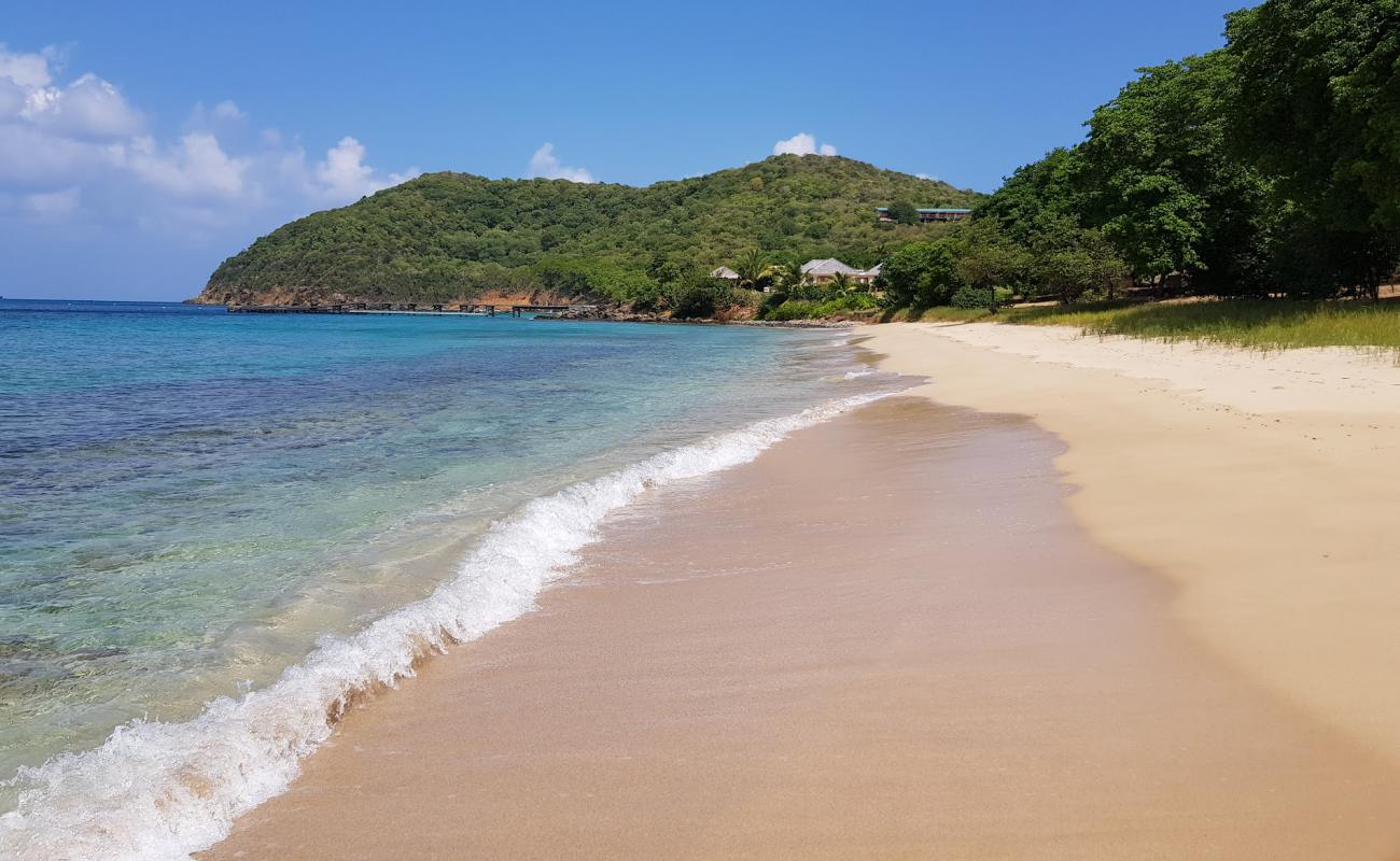 Photo de Twassante Bay beach avec sable beige de surface