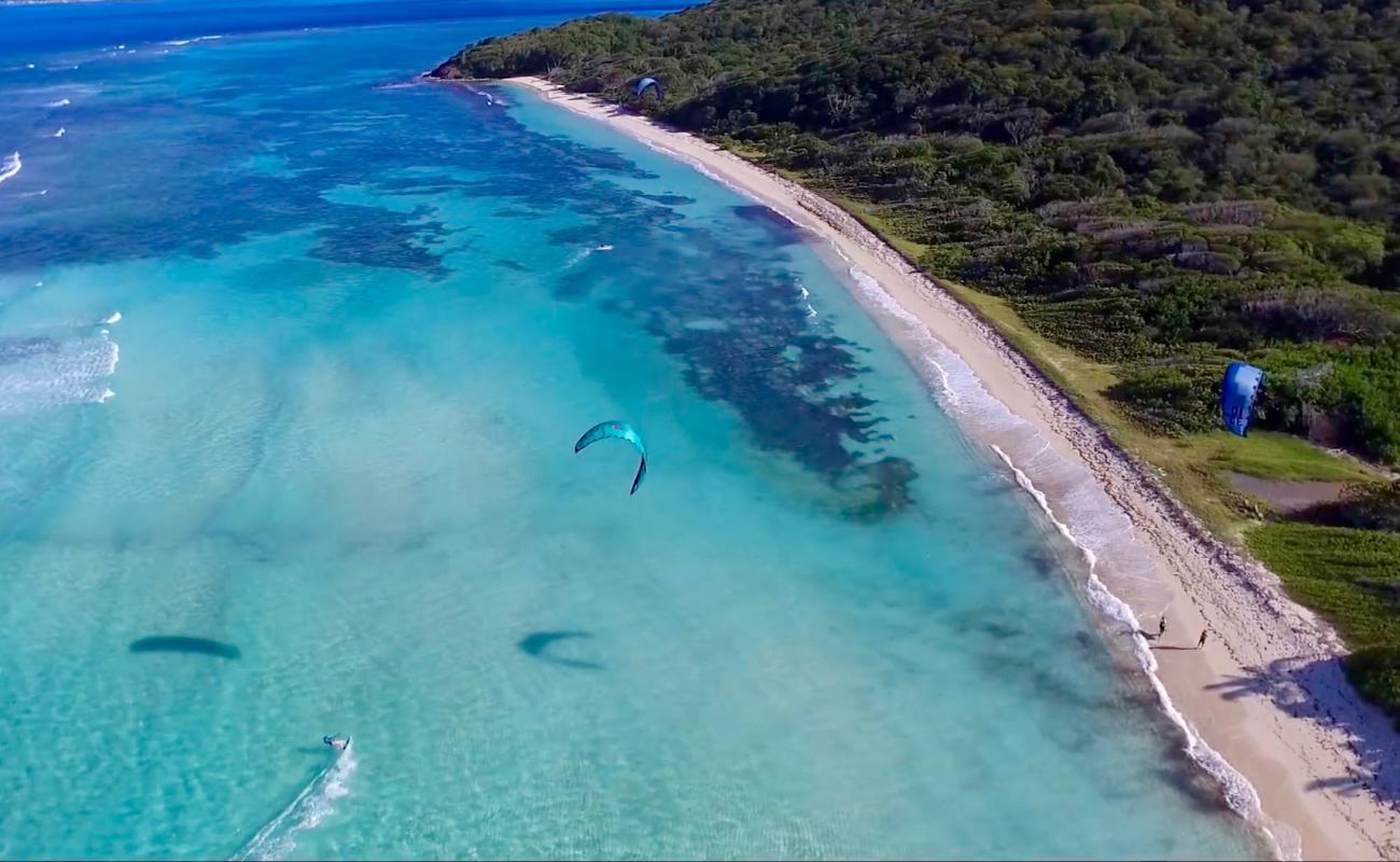 Photo de Salt Whistle Bay beach avec sable blanc de surface