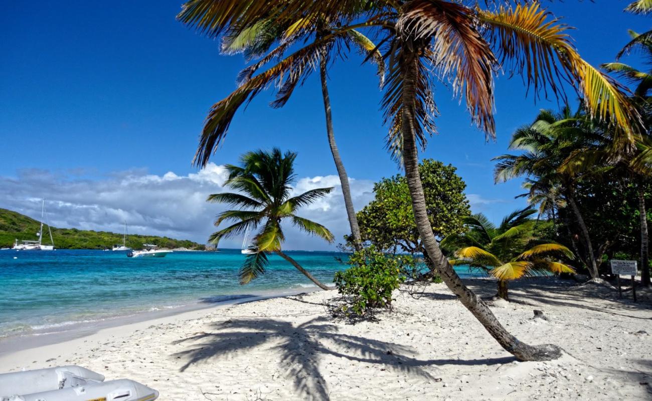 Photo de Petit Rameau beach avec sable beige fin de surface