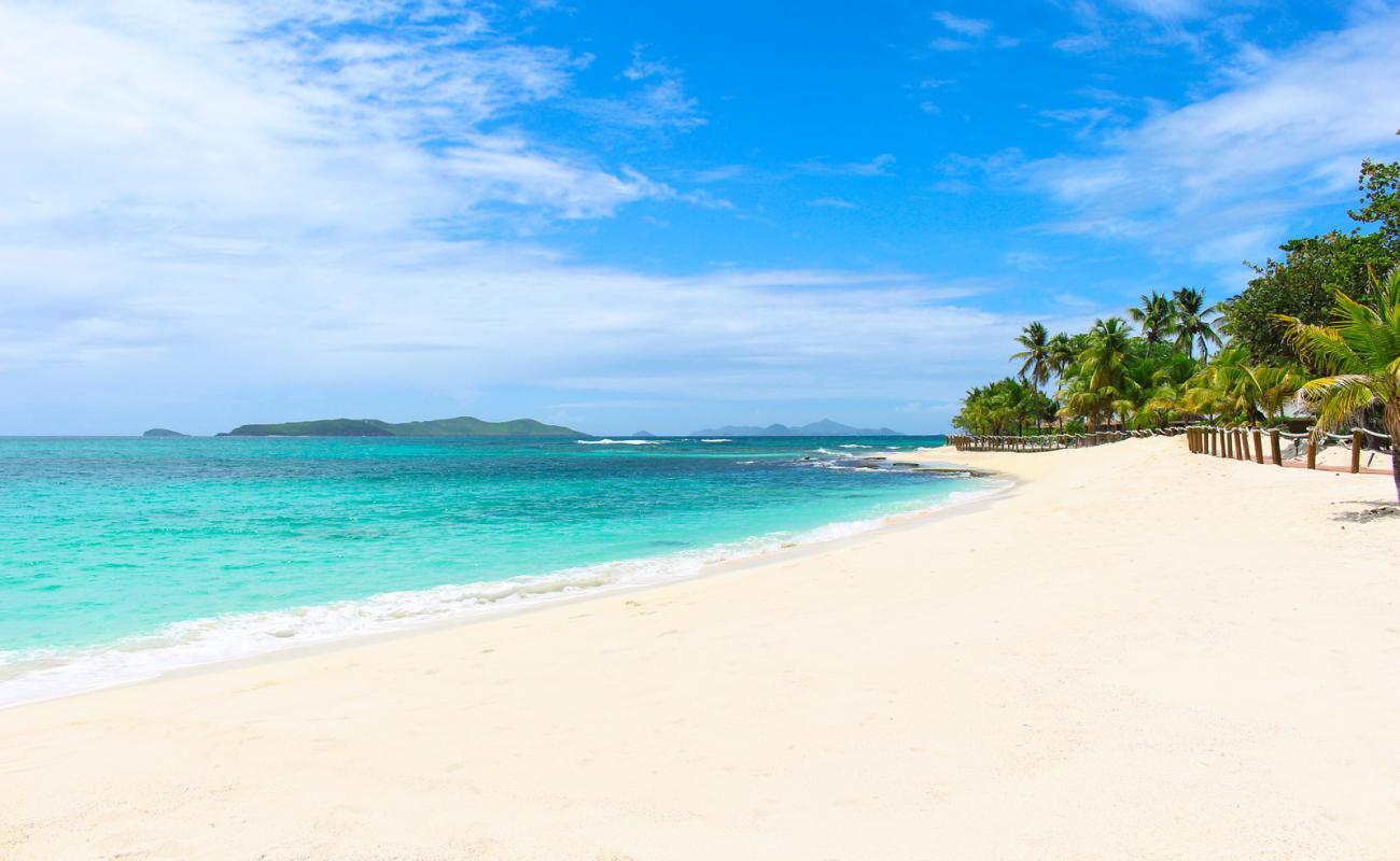 Photo de Plage de Palm Island avec sable blanc de surface