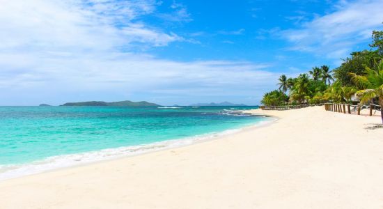 Plage de Palm Island